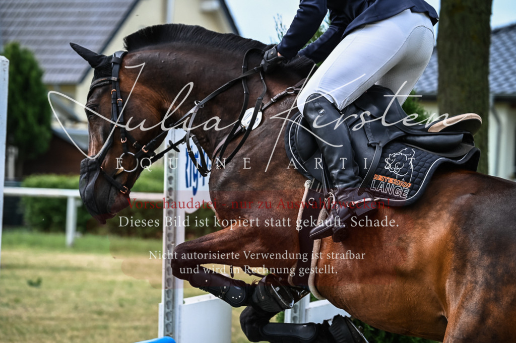 DSC_8263 | Pferde- und Turnierfotografie in Westsachsen. Pferdeportraits, Auftragszeichnungen und intuitive Kunst.