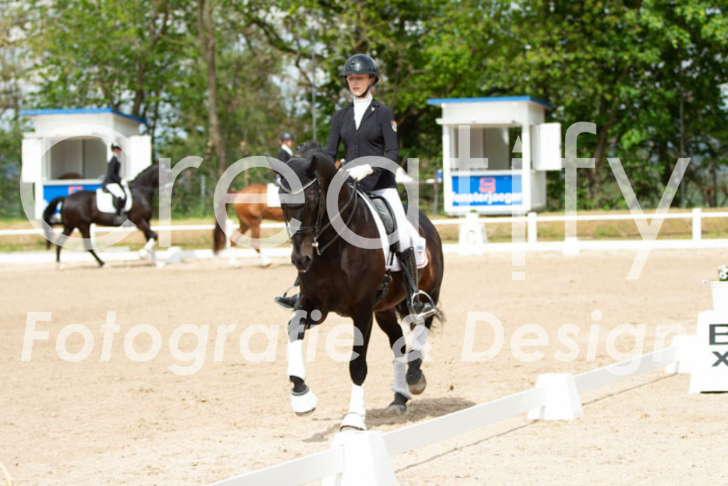 IMG_7028 | Creatify Fotografie