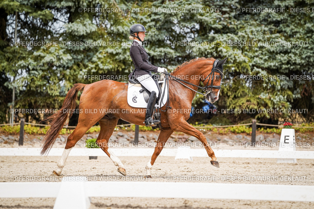 DSC05340 | Pferdegrafie