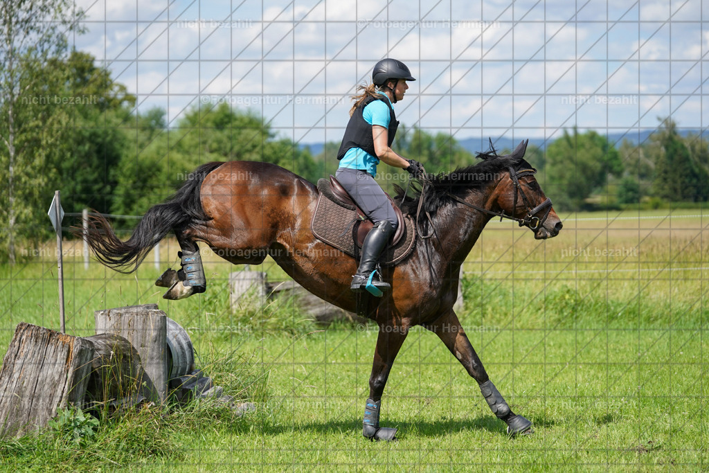 20240622-FAH07792 | Turnierfotografen Bayern, Reitsportbilder aus dem Geländekurs mit Felix Etzel auf dem Gut Waitzacker 2024