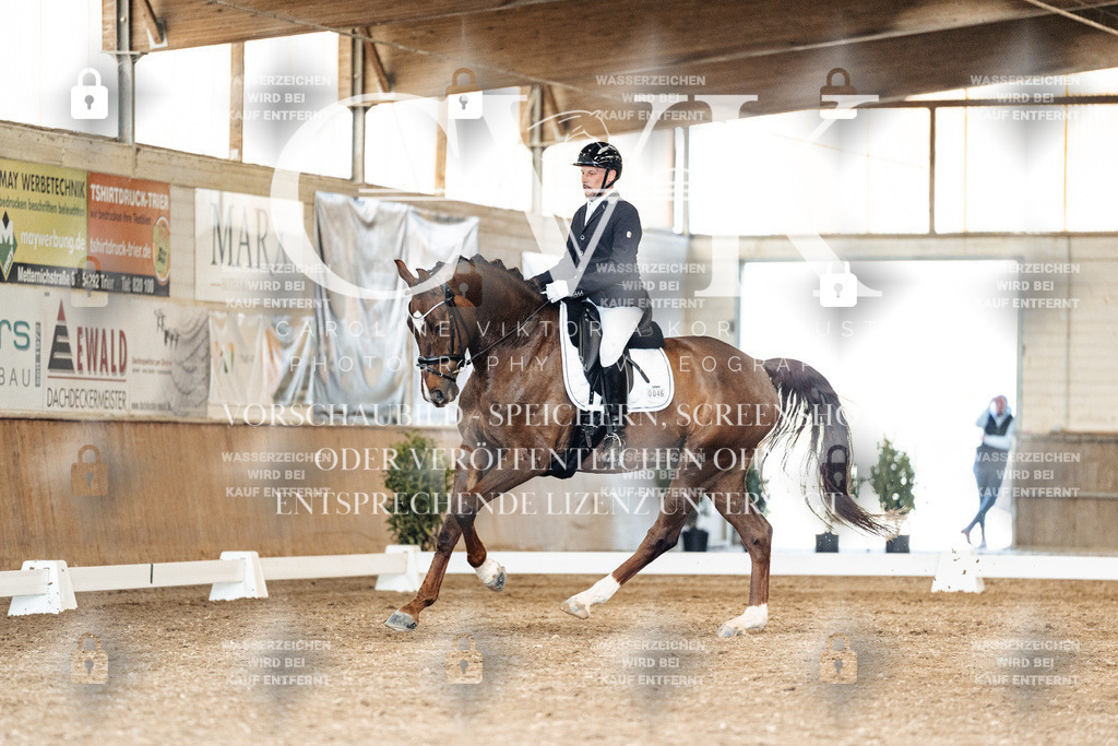 CK901636 | Turnierfotografie Pferdefotografie Trier Rheinland-Pfalz Pferdesport Reitsport Tierfotografie Sportfotografie Pferdevideo Pferdevideografie Equestrianvideography equestrianphotography  - Realisiert mit Pictrs.com