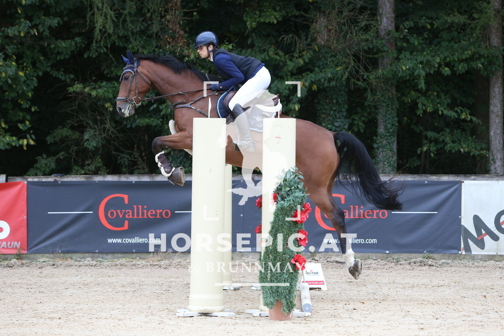 DL2Q0830 | Willkommen bei Brunnmayr - Design & Fotografie – Ihrem Spezialisten für Reitturniere und Pferdeveranstaltungen in Oberösterreich, Salzburg und Bayern! Seit über 17 Jahren sind wir leidenschaftlich dabei.