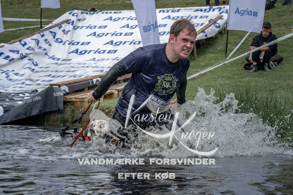 1136_ZZ93140 | kk-dogfotos