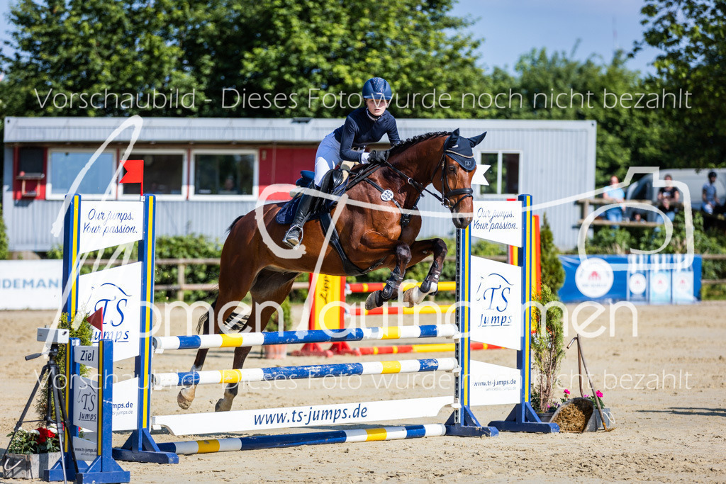 Donop24-ASpr-046 | MomenTaufnahmen Pferdesportfotos