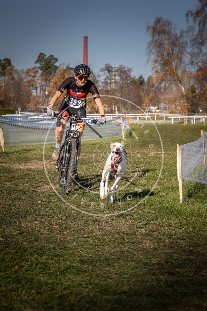 CaniXpix_0L8A6196 | Hundefotografie, Tierfotograf, Pfotenfotografie, Fotoshooting Hund, Hunde Portrait, Hundesport, Hundeportraits, Heideshooting, Hunde, Sportfotograf, Hundefotograf, Turnierhundsport, THS,  - Realisiert mit Pictrs.com