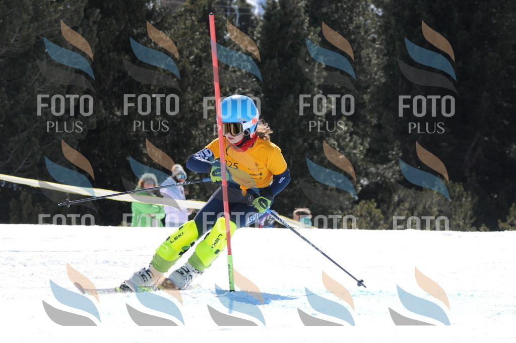 C9246 | holidayphoto