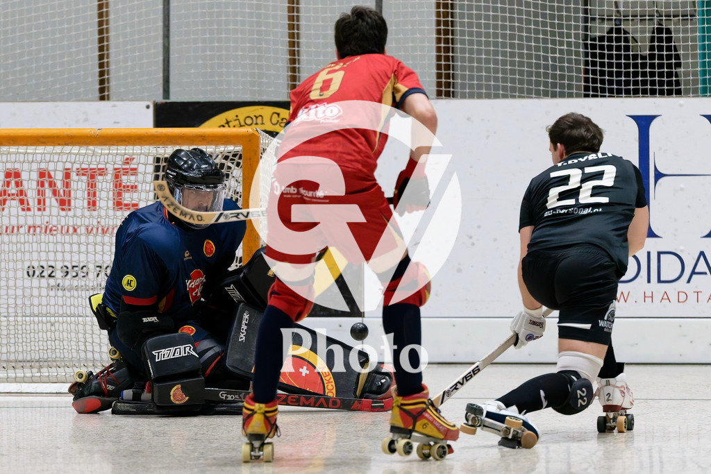 LNA  - Geneve RHC v RHC Diessbach  |  during the LNA  match between Geneve RHC and RHC Diessbach  at Centre sportif de la queue d'arve in Geneve, Switzerland