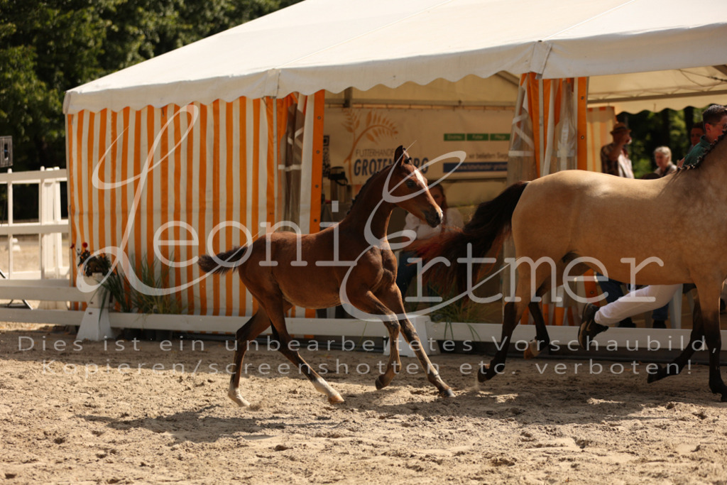 08.DoRPS00016 | Leoni Ertmer Photography - Realisiert mit Pictrs.com