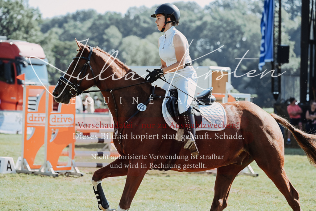 DSC_5658 | Pferde- und Turnierfotografie in Westsachsen. Pferdeportraits, Auftragszeichnungen und intuitive Kunst.