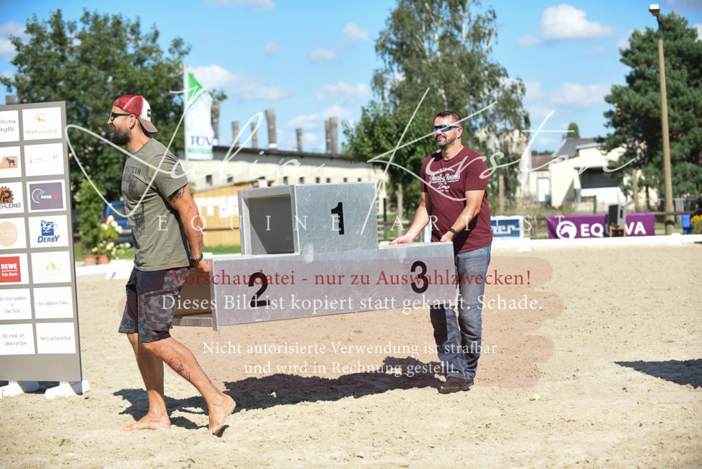 DSC_9823 | Pferde- und Turnierfotografie in Westsachsen. Pferdeportraits, Auftragszeichnungen und intuitive Kunst.