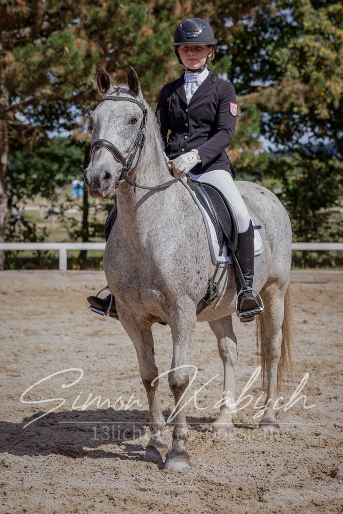 20250906-_3LI5817 | Tierfotografie Pferde, Hunde, Katzen, Haustiere.
Turnierfotografie Reitturniere, Reiten, Springreiten, Dressur in Hanau, dem Main-Kinzig-Kreis und dem Rhein-Main- Gebiet um Frankfurt