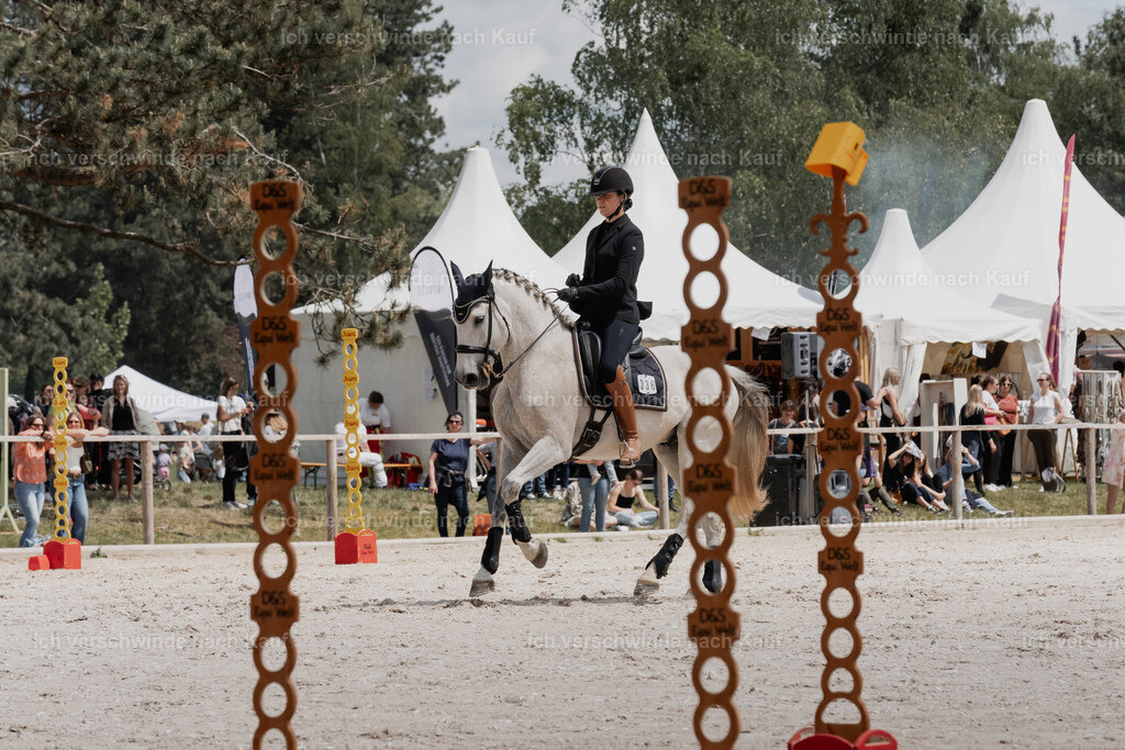 WE_ST_Stoib_336_PI2025_1128 | Pferd International München 2025