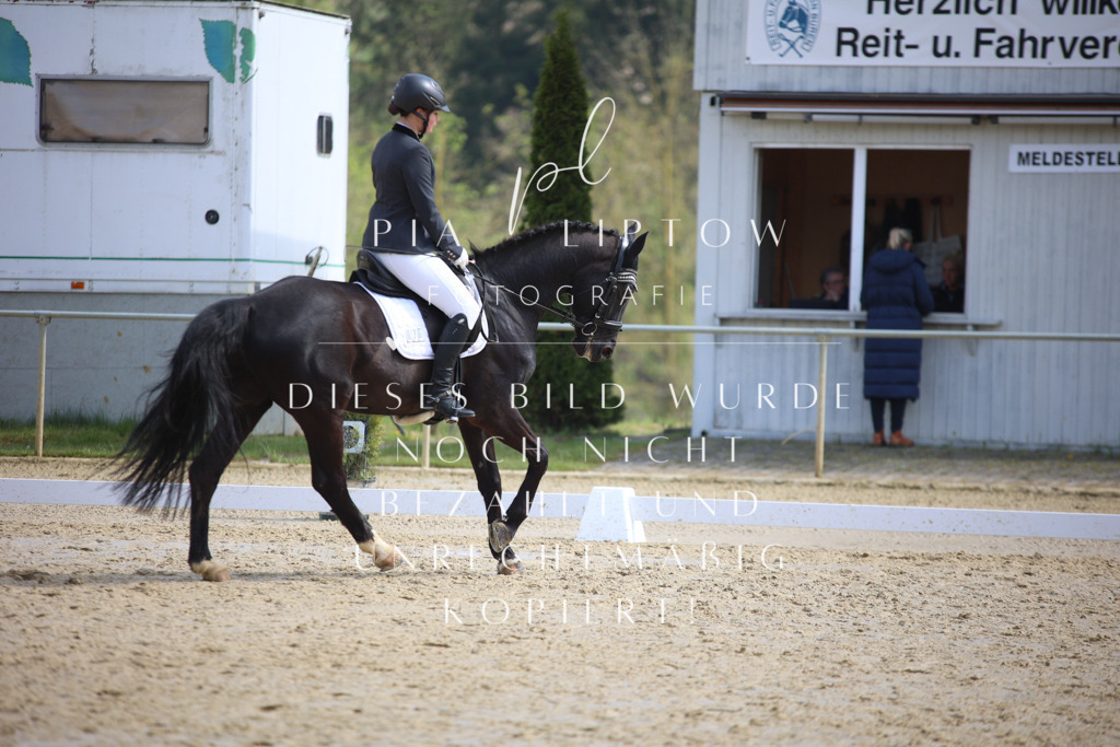 IMGT4709 | pl-fotografie