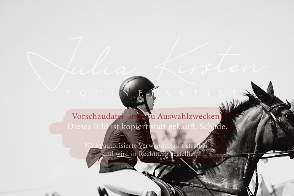 DSC_0053 | Pferde- und Turnierfotografie in Westsachsen. Pferdeportraits, Auftragszeichnungen und intuitive Kunst.