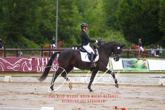 DKP40570 | Turniersportfotografie; Pferdefotografie; Dressurfotografie