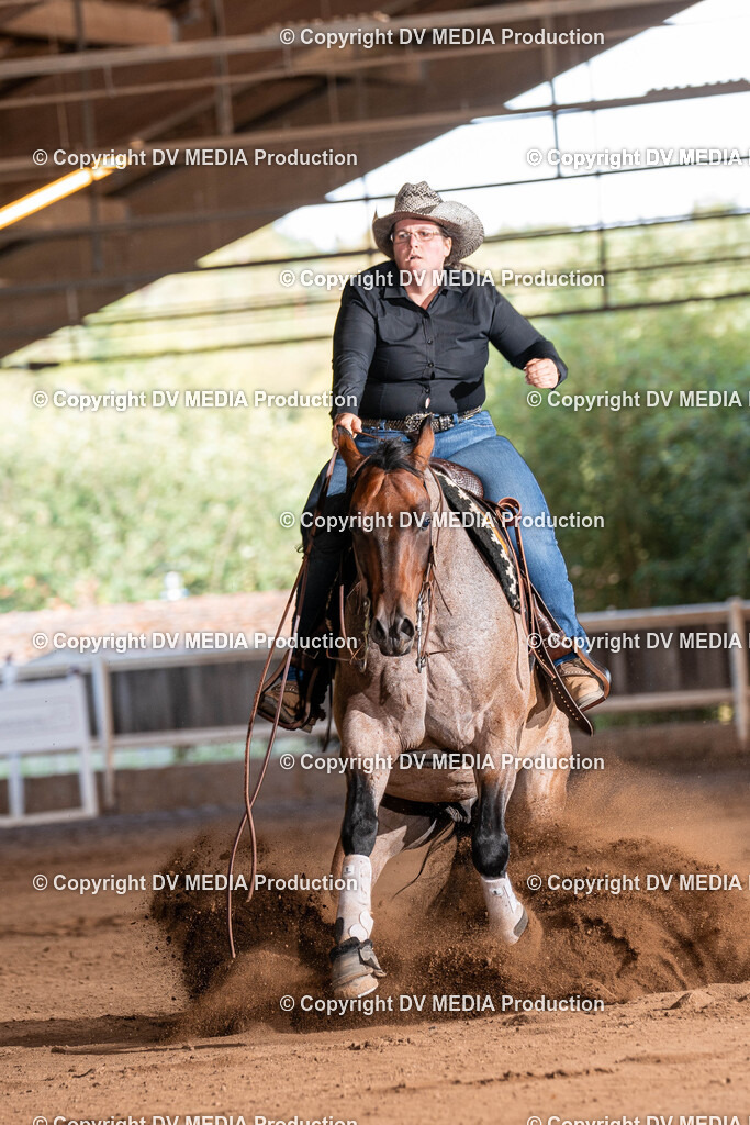 Erbach Tag 2-1058 | dv-media-shop - Realisiert mit Pictrs.com