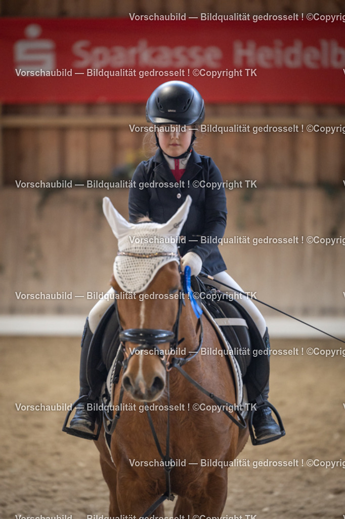 _D5A5791 | Emotionale Pferde- & People-Fotografie rund um Heidelberg, Leimen & Umgebung. Natürliche Fotos von Pferd, Mensch & Familie. Jetzt Termin sichern!