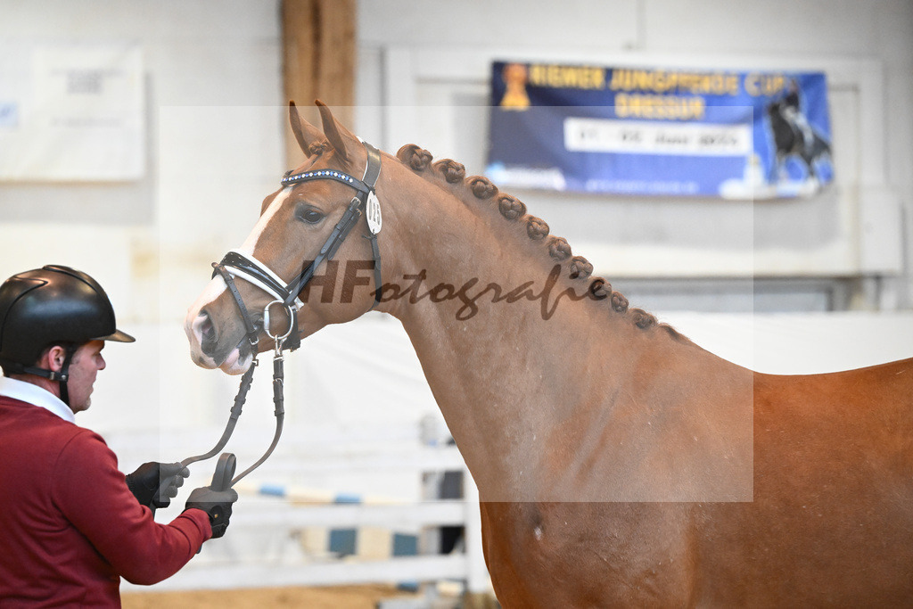 Kat-Nr. 25 v. Baggio_Heiterreiter GmbH_6240470 | hf-fotografie - Realisiert mit Pictrs.com