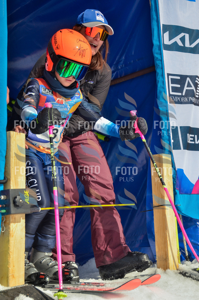 _ELE4504 | holidayphoto