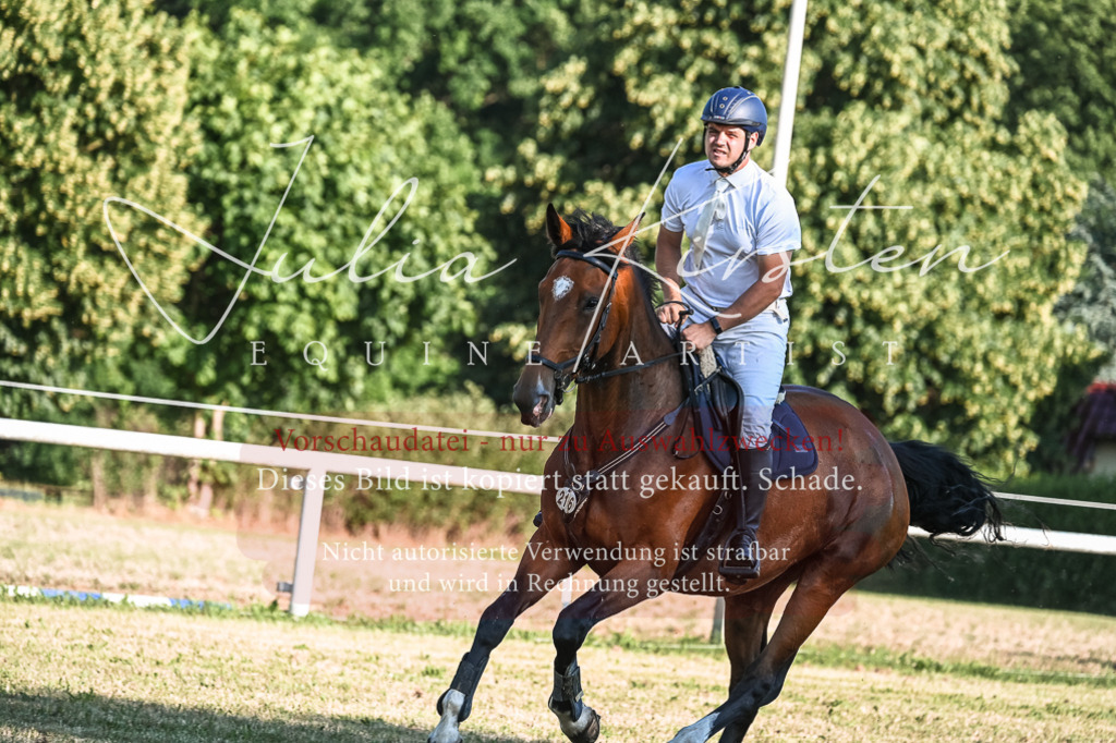 DSC_2719 | Pferde- und Turnierfotografie in Westsachsen. Pferdeportraits, Auftragszeichnungen und intuitive Kunst.