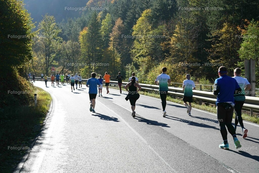 20221016 Piestingtal Lauf 2022-91 | Fotografie Woldron