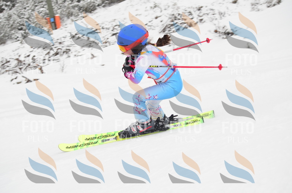 C0619 | holidayphoto