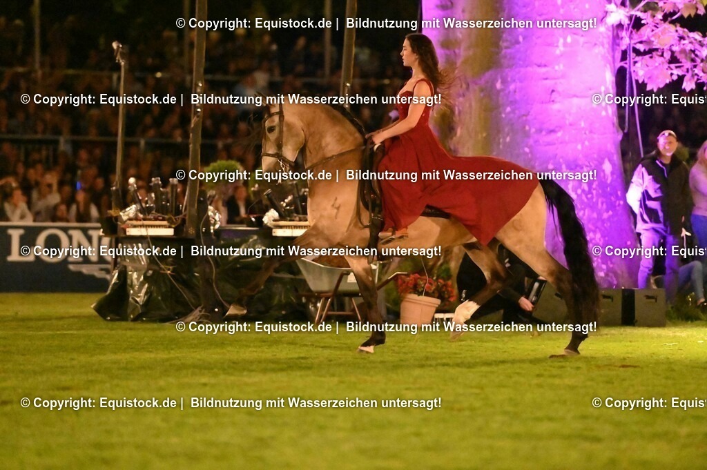 20230526_Pferdenacht_1397 | equistock