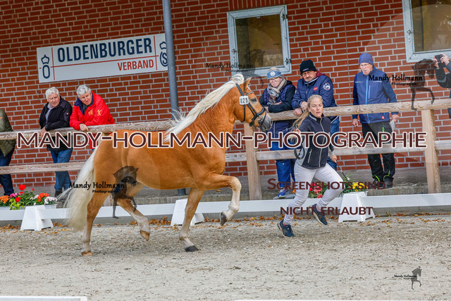 GK (565 von 759) | mandyhollmannphotographie