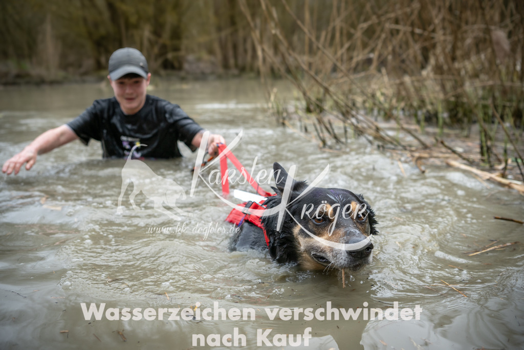 1527_ZZ93091 | kk-dogfotos