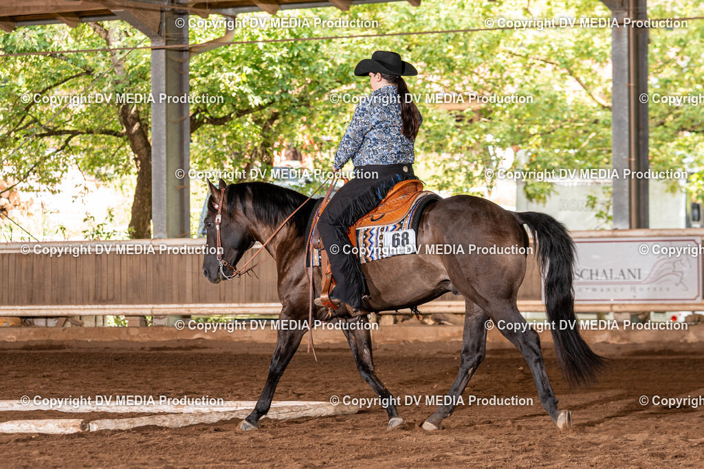 Erbach Tag 2-280 | dv-media-shop - Realisiert mit Pictrs.com