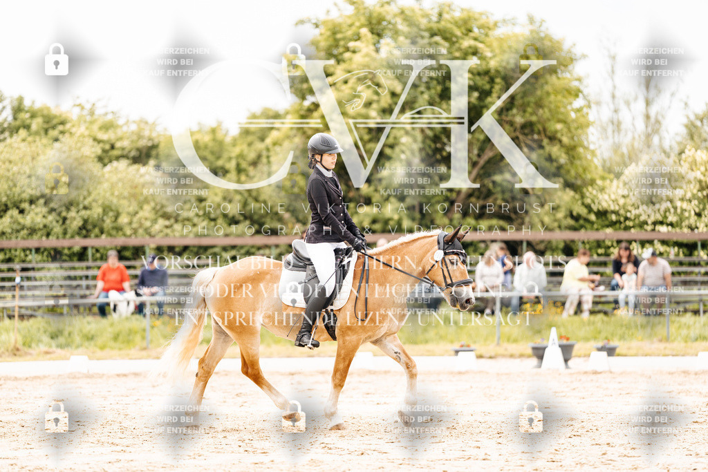 CK902943 | Turnierfotografie Pferdefotografie Trier Rheinland-Pfalz Pferdesport Reitsport Tierfotografie Sportfotografie Pferdevideo Pferdevideografie Equestrianvideography equestrianphotography  - Realisiert mit Pictrs.com
