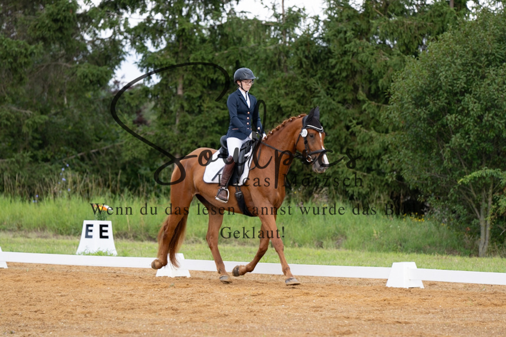 A7V03778 | Pferdefotograf