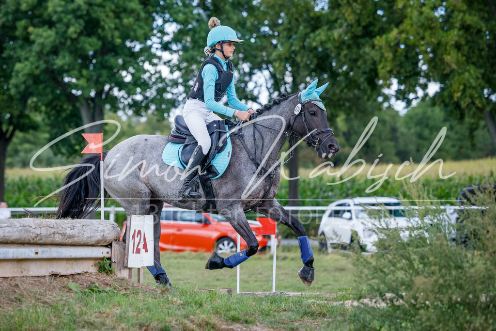 20250905-_3LI2005 | Tierfotografie Pferde, Hunde, Katzen, Haustiere.
Turnierfotografie Reitturniere, Reiten, Springreiten, Dressur in Hanau, dem Main-Kinzig-Kreis und dem Rhein-Main- Gebiet um Frankfurt