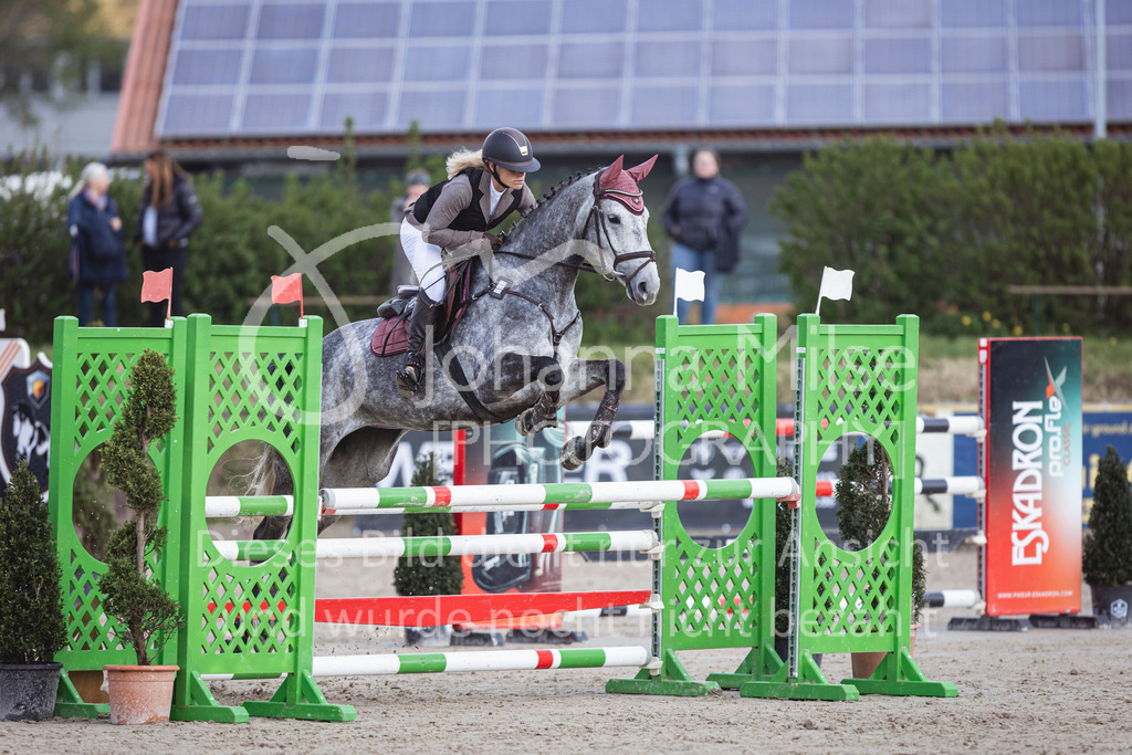 250419_Frühlingsfest_Springpf-L-342 | Deine schönsten Turniermomente als professionelle Fotos! Entdecke hochwertige Pferdesport-Fotografie im Online-Shop. Jetzt Fotos finden & bestellen!