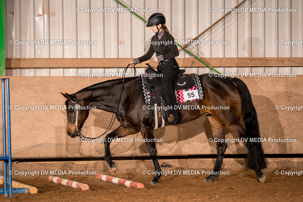 BA400019 | dv-media-shop - Realisiert mit Pictrs.com