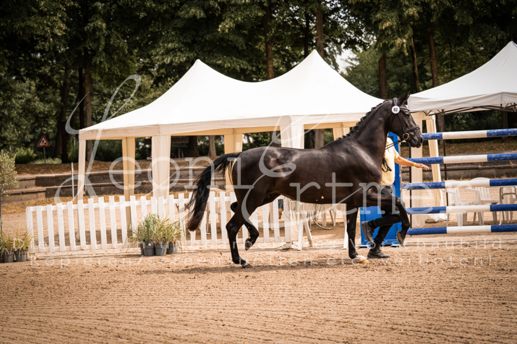 4.Fr00140 | Leoni Ertmer Photography - Realisiert mit Pictrs.com