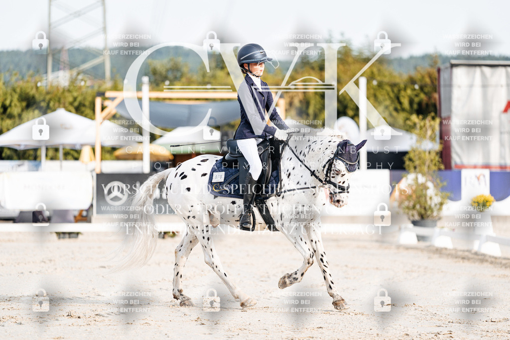 CK903668 | Turnierfotografie Pferdefotografie Trier Rheinland-Pfalz Pferdesport Reitsport Tierfotografie Sportfotografie Pferdevideo Pferdevideografie Equestrianvideography equestrianphotography  - Realisiert mit Pictrs.com