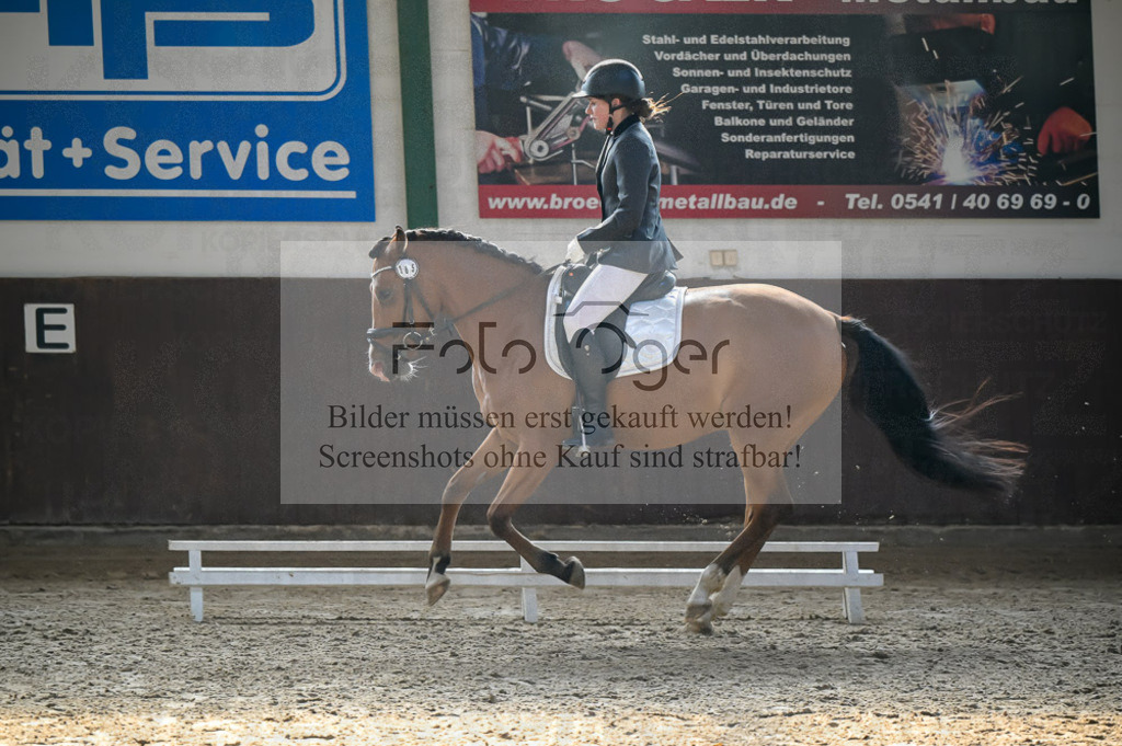 Reitturnier Voxtrup | Entdecke hochwertige Reitturnierfotos von Foto Oger. Professionell, emotional und authentisch – jetzt Lieblingsmomente im Shop bestellen.Deutschlandweite Turnierfotografie. - Realisiert mit Pictrs.com