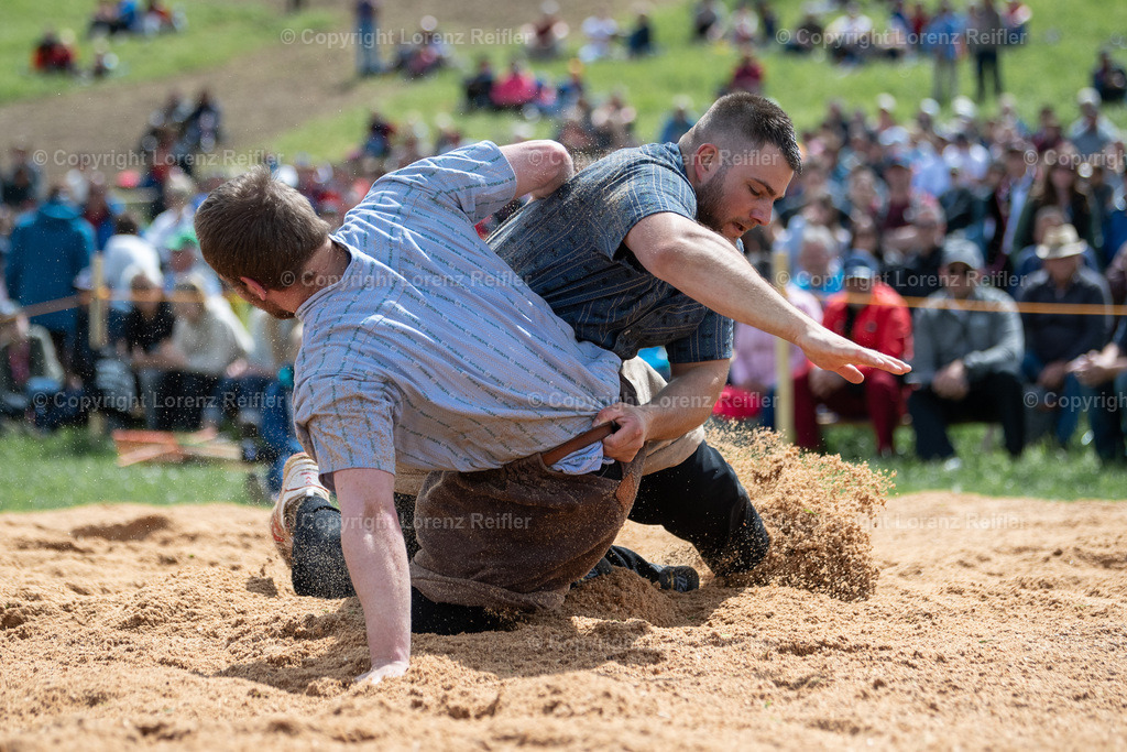 Schwingen -  Thurgauer Kantonales 2024 | Ermatingen, 5.5.24, Schwingen - Thurgauer Kantonales.