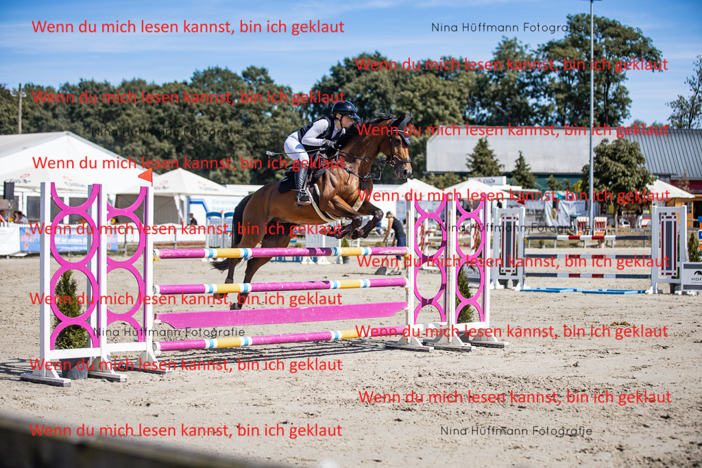 BK1A6899 | Turnierbilder Turnierfotos Nina Hüffmann Turnierfotografie Pferdefotografie Tierzeichnung Haustierzeichnung Pferdezeichnung Hundezeichnung Videograf  - Realisiert mit Pictrs.com