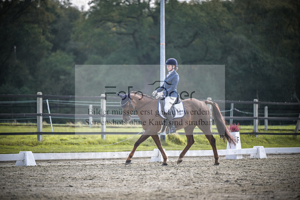 DOS_B158 | Entdecke hochwertige Reitturnierfotos von Foto Oger. Professionell, emotional und authentisch – jetzt Lieblingsmomente im Shop bestellen.Deutschlandweite Turnierfotografie. - Realisiert mit Pictrs.com