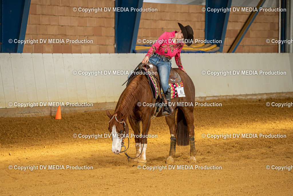 MIT00897 | dv-media-shop - Realisiert mit Pictrs.com