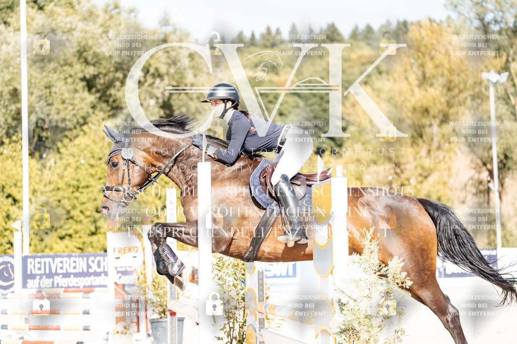 CK909200 | Turnierfotografie Pferdefotografie Trier Rheinland-Pfalz Pferdesport Reitsport Tierfotografie Sportfotografie Pferdevideo Pferdevideografie Equestrianvideography equestrianphotography  - Realisiert mit Pictrs.com