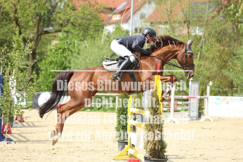 IMGM5961 | pl-fotografie