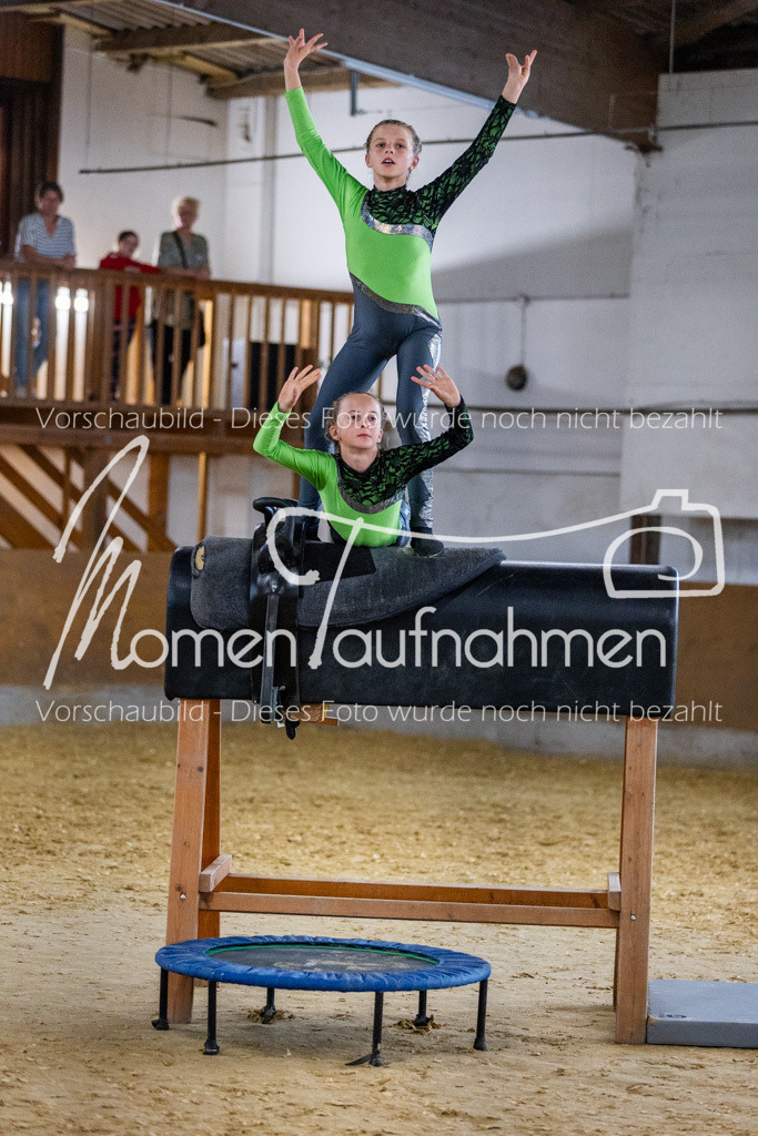 Holzpferd-003 | MomenTaufnahmen Pferdesportfotos