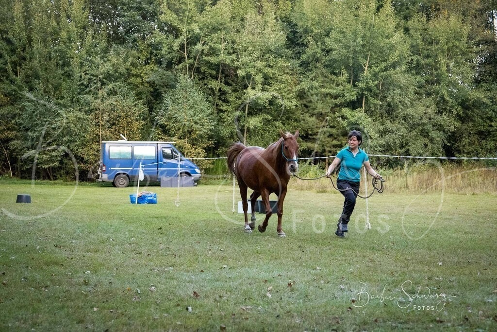 DdLH-NU_2025-09-20_46 | Fotografie, Veranstaltungs-Fotografie, Pferde-Fotografie, Landschafts-Fotografie, Reise-Fotografie - Realisiert mit Pictrs.com