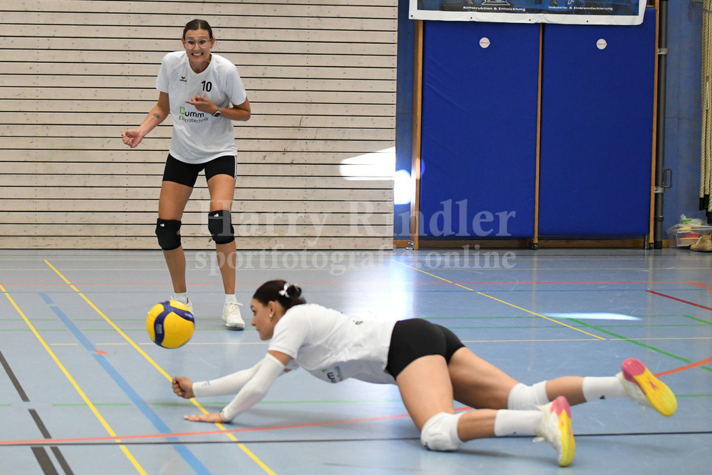 TSV Deggendorf Damen : Wilde Wespen Steinach | TSV Deggendorf Damen : Wilde Wespen Steinach - Realisiert mit Pictrs.com