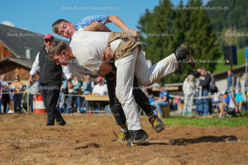 RB_01262-2 | René Burch leidenschaftlicher Fotograf aus Kerns in Obwalden.  Hier finden sie Sport, Landschaft und Natur Fotografie.
 - Realisiert mit Pictrs.com