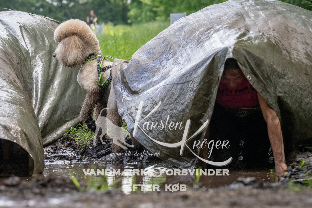 1143_ZZ94172 | kk-dogfotos