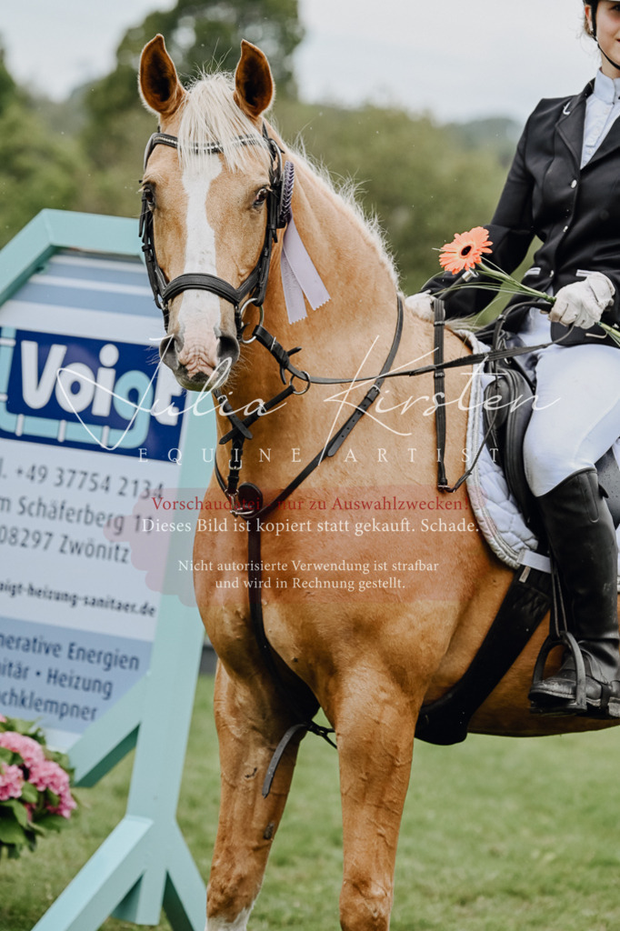 DSC_7111 | Pferde- und Turnierfotografie in Westsachsen. Pferdeportraits, Auftragszeichnungen und intuitive Kunst.
